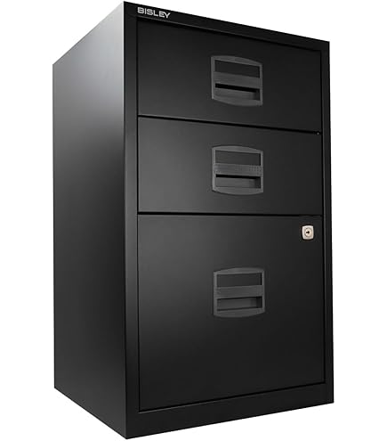 Amazon.com: Bisley 2-Drawer Flush Front Vertical File